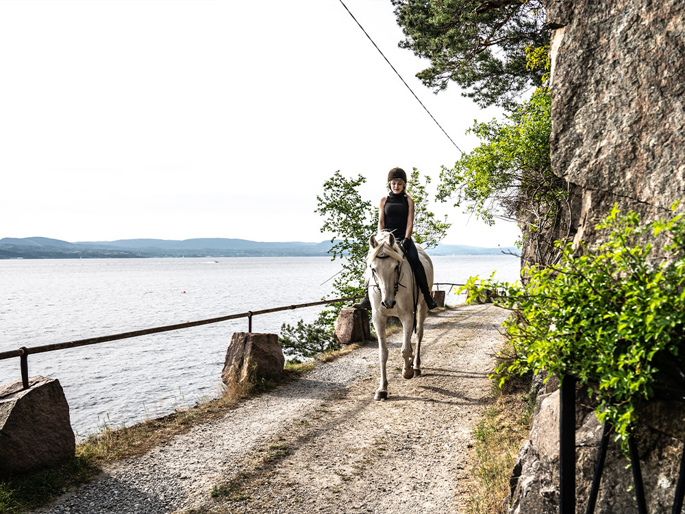 Paardrijvakantie Noorwegen