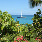 Afbeelding voor Sint Maarten
