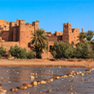 Afbeelding voor Koning Aap - Rondreizen Marokko