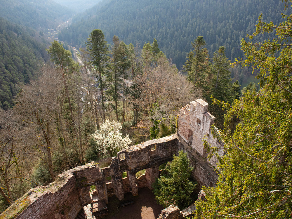 Burg Zavelstein
