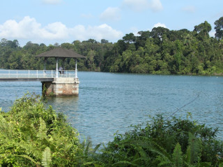 Afbeelding voor MacRitchie Reservoir