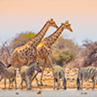 Afbeelding voor Undiscovered - Rondreizen Namibië