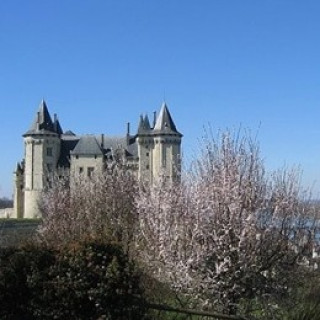 Afbeelding voor SNP - Fietsvakantie Loire