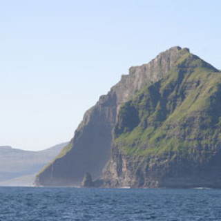Afbeelding voor Beluga - Faeröer Eilanden natuurreis