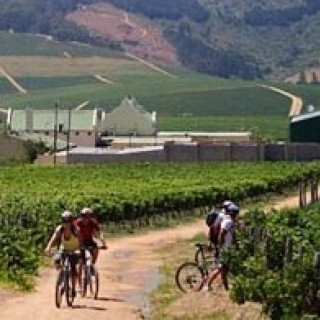 Afbeelding voor Riksja Zuid-Afrika - Fietsen in wijngebieden