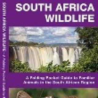 Afbeelding voor Natuurgidsjes - Zuidelijk Afrika