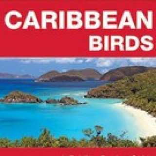 Afbeelding voor TIP - Vogelgids Caraïben