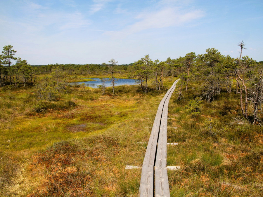 wandelen in moerassen Estland