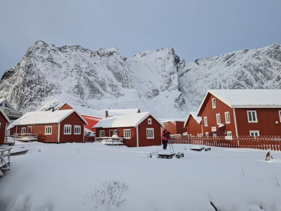 Rode huizen in het vissersdorp Reine, Lofoten