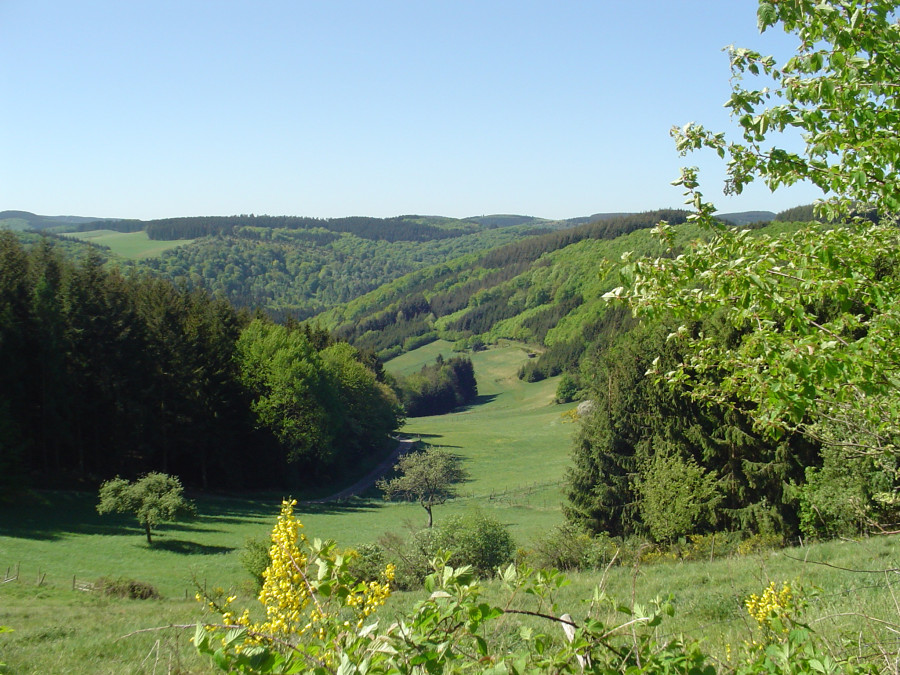 Landschap Eifel