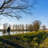 Afbeelding voor Wandelen in de Biesbosch