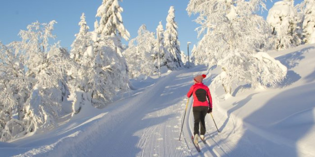 Afbeelding voor Voigt Travel - Short Break Winterreizen