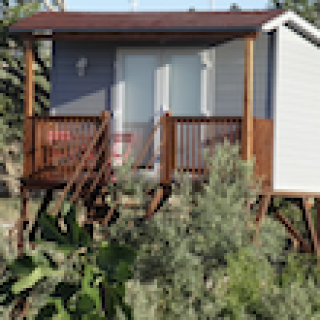 Afbeelding voor Natuurhuisje - Boomhut in Camarles