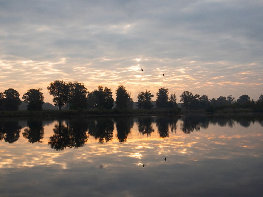 Kampina bij zonsopkomst