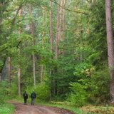 Afbeelding voor Bialowieza