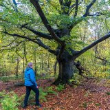 Afbeelding voor Gaasterland