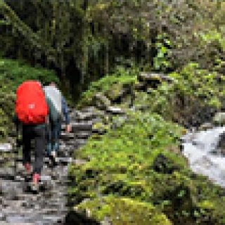 Afbeelding voor Travel Happiness Company - Privétrekking