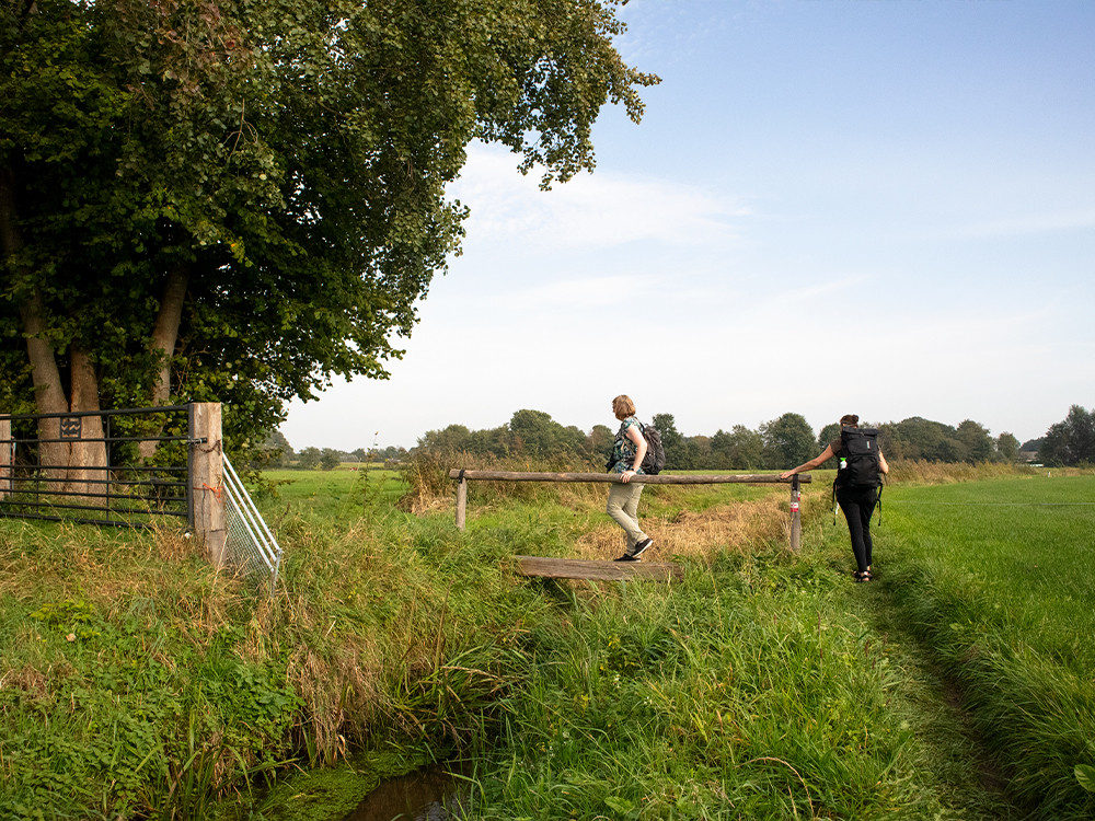 Wandelen buitengebied Putten