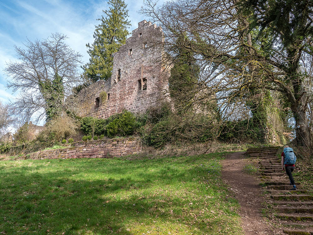 Wandelen langs burchtruïne