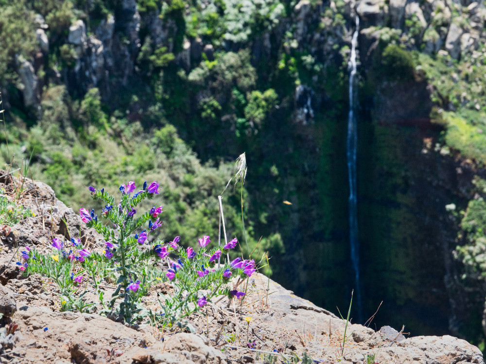 Garganta Funda waterval Madeira