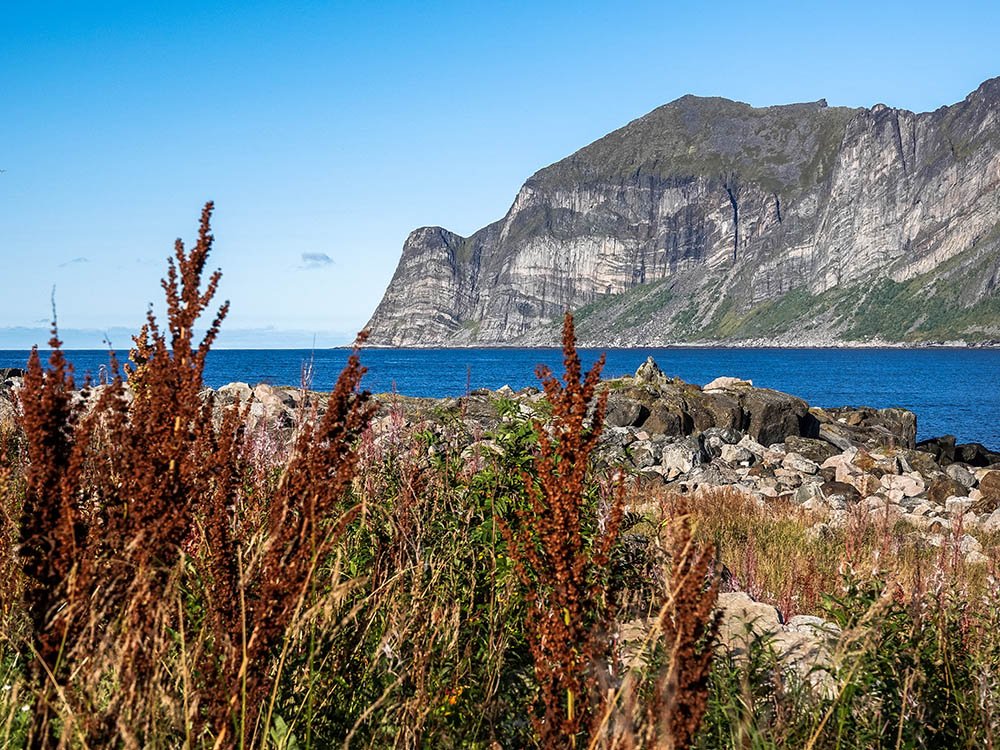 Scenic Route Senja