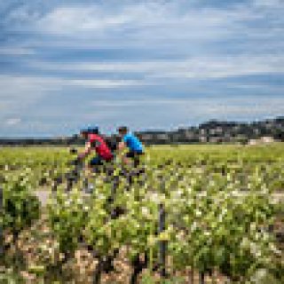 Afbeelding voor Sawadee - Fietsreis Zuid-Provence