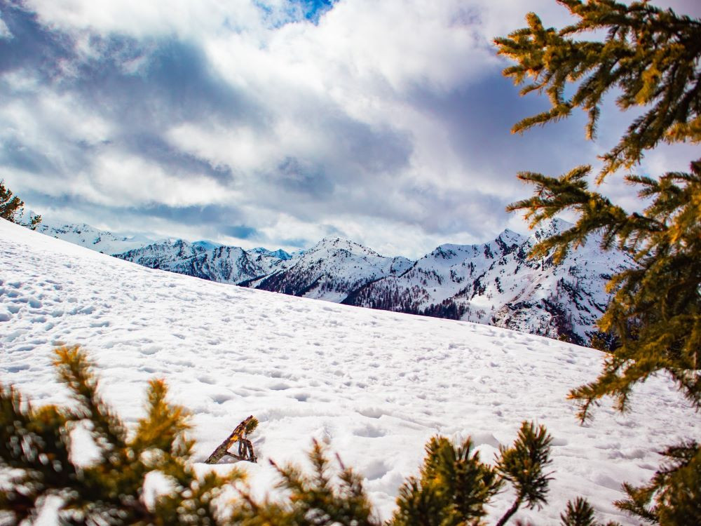 Natuur Hochwurzen