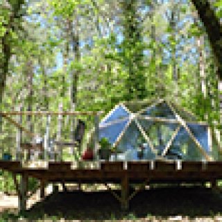 Afbeelding voor Booking.com - Koepeltent in het bos