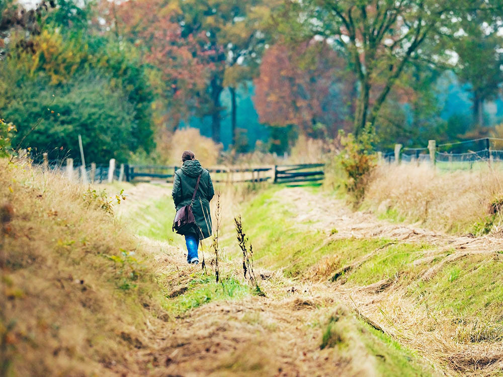 Wandelen Achterhoek