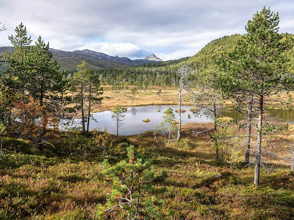 Anderdalen Nationaal Park