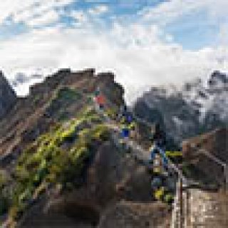 Afbeelding voor Intrepid Travel - Wandelreis Madeira (nieuw!)