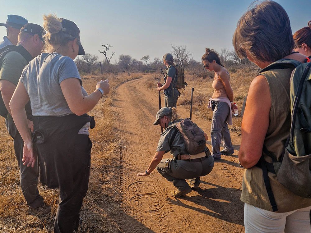 Wandelsafari in Afrika