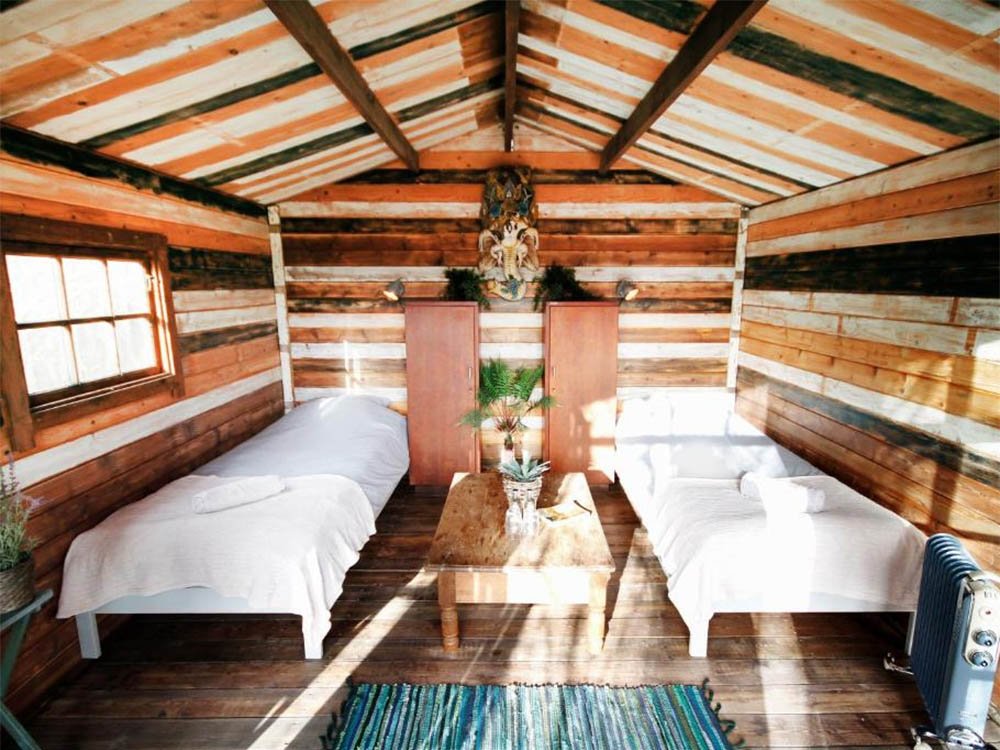 Jungle in Groningen stad