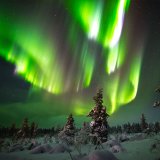 Afbeelding voor Noorderlicht in Fins Lapland