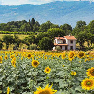 Afbeelding voor Eliza was here - Treinvakantie Cinque Terre + Toscane