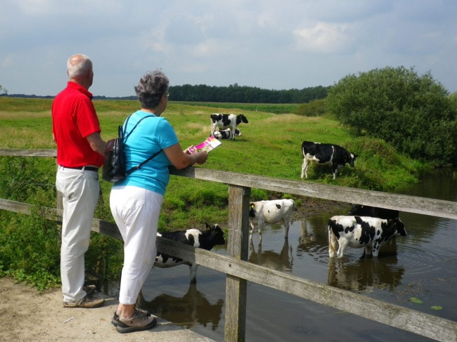 Wandelen langs de Vecht