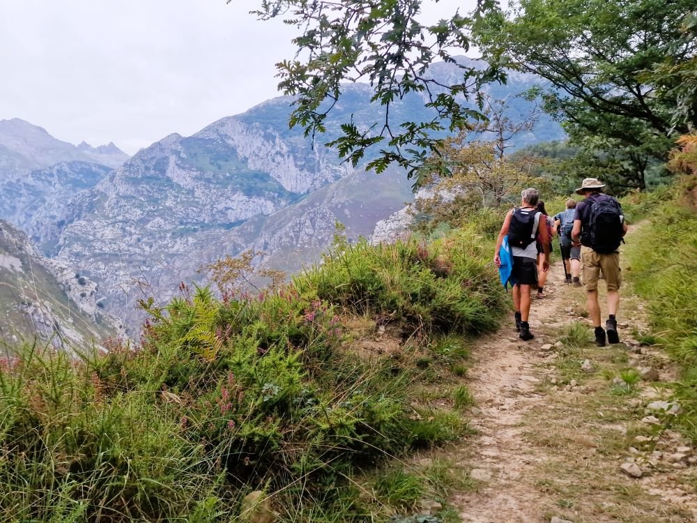 Picos de Europa