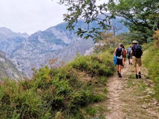 Afbeelding voor Picos de Europa