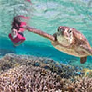 Afbeelding voor Tenzing Travel - Oost-Australië