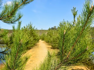 Afbeelding voor wAARDEvol reizen in België