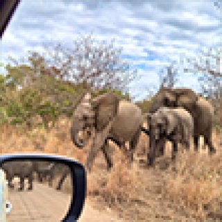 Afbeelding voor Voja Travel - Zuid-Afrika rondreizen