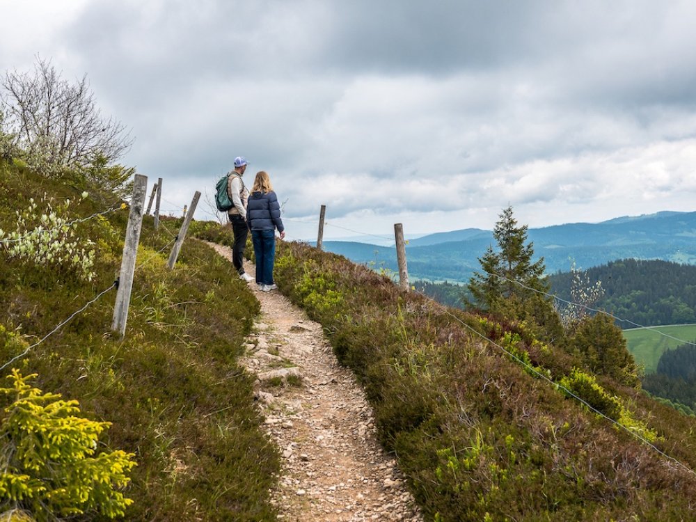 Wandeling op de Belchen