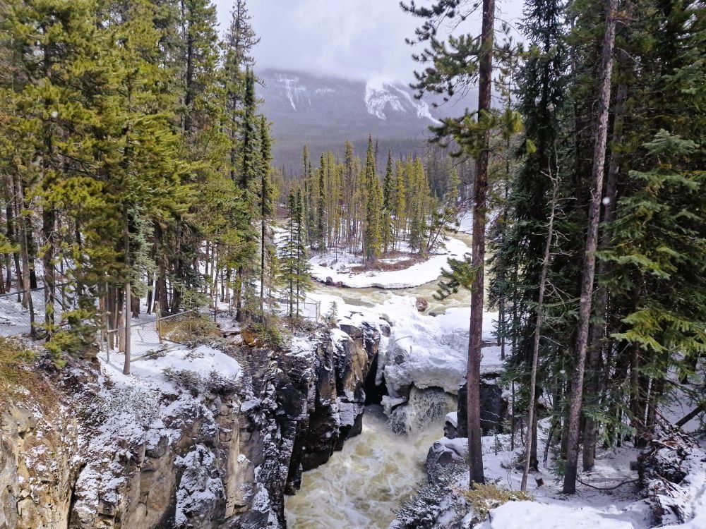 Sunwapta Falls