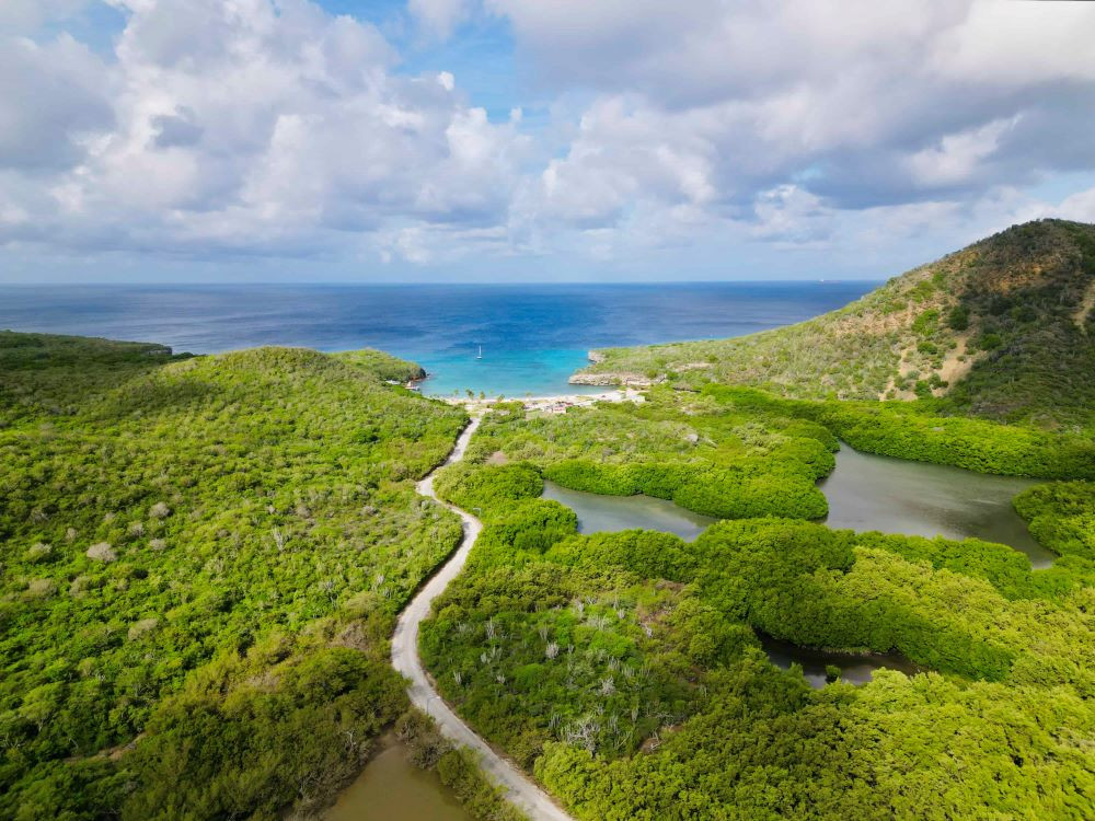 Natuur op Curaçao