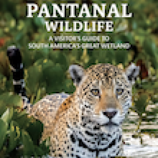 Afbeelding voor Bol.com - Reisgidsen Pantanal