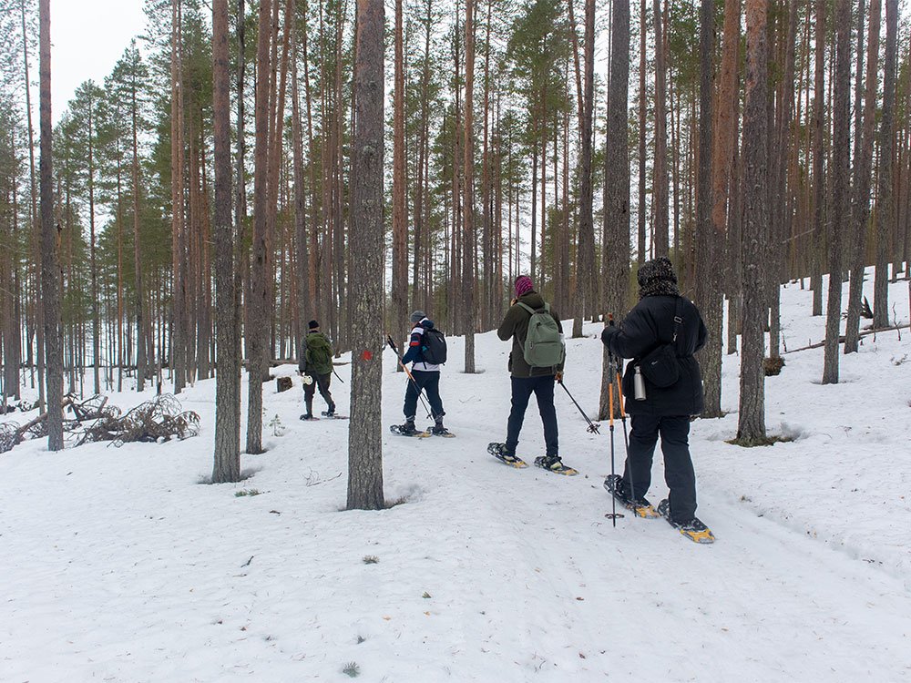 Sneeuwschoenwandelen in Finland