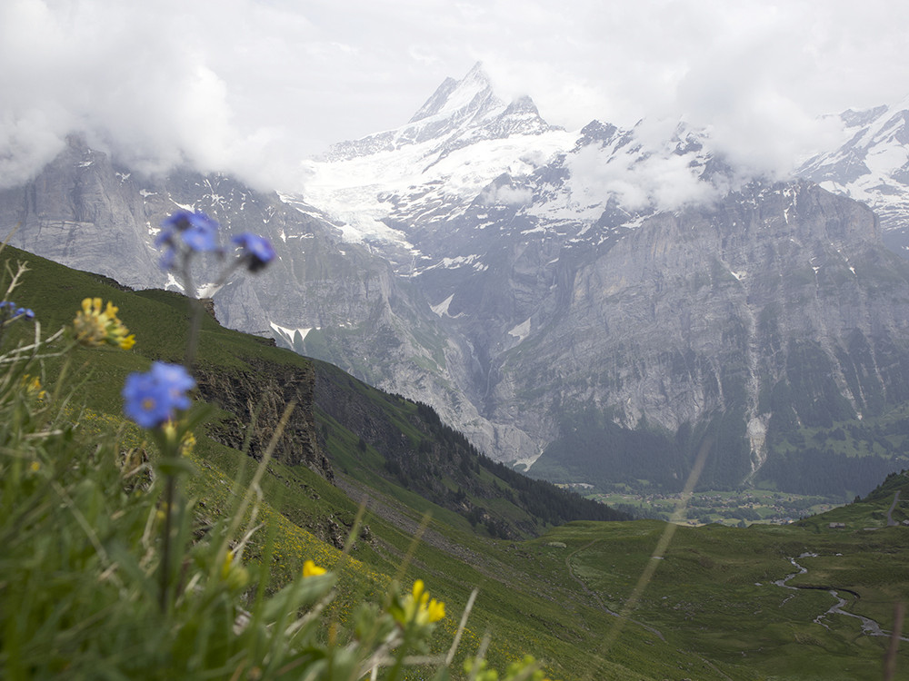 Grindelwald