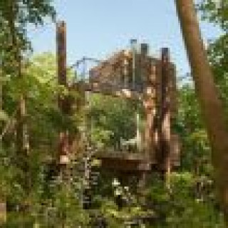 Afbeelding voor Landal GreenParks - Forest Resort Your Nature