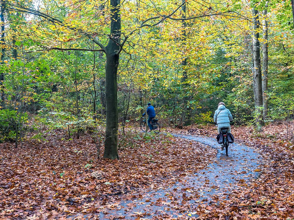 Fietsen in het Gaasterland