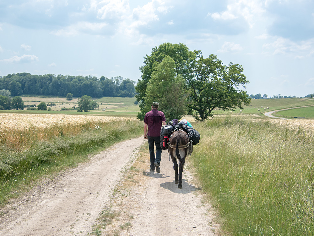 Wandelen met een ezel